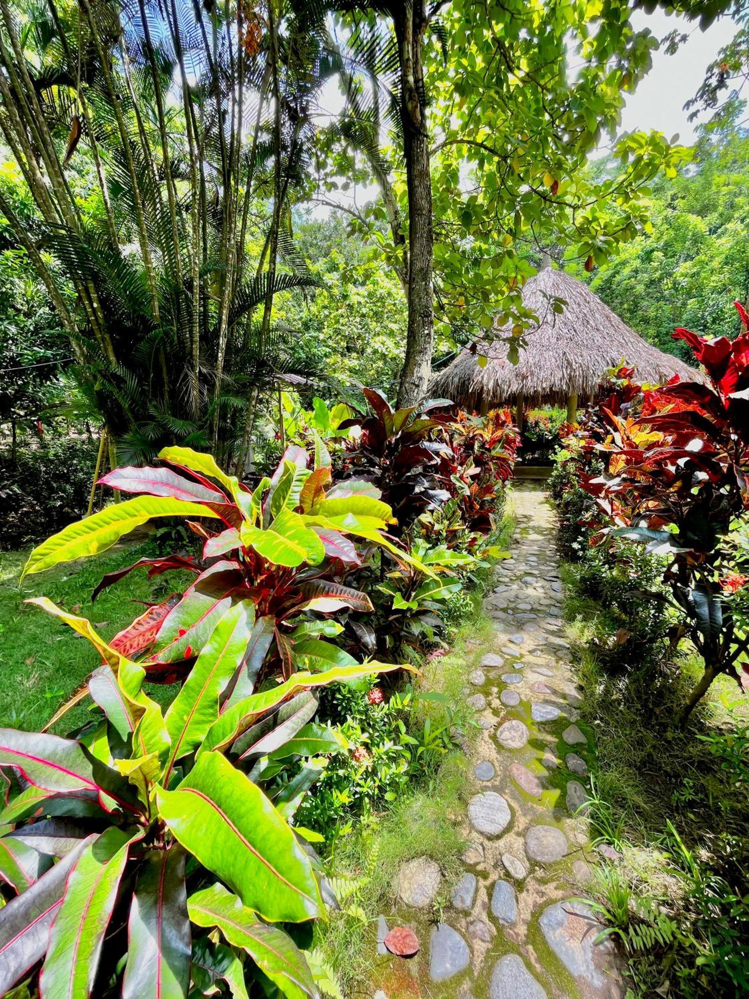 Santuario Tayrona Hostel Calabazo  Exterior foto